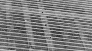 Detailed view of a textured corrugated metal roof with screws.